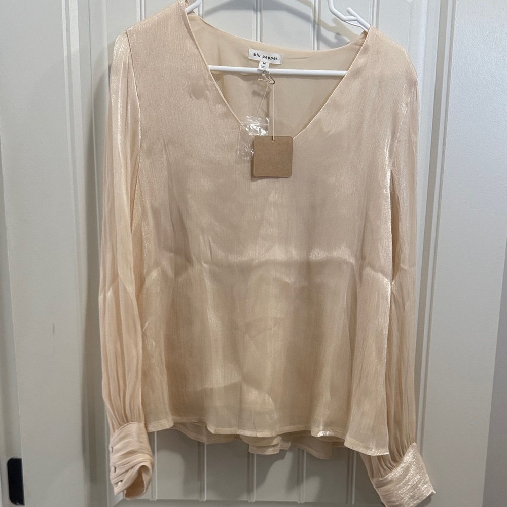 V-Neck Long-Sleeve Sheer Blouse in Champagne